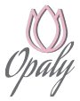 Cropped Logo Opaly 1.png