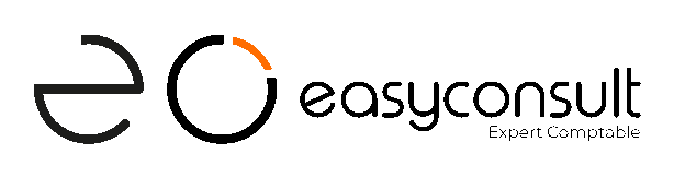 Logo Noir Easy Consult