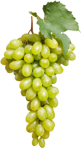 Accueil Grape De Raisin Blanc Avec Feuille De Vigne