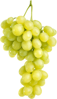 Accueil Grape De Raisin Blanc
